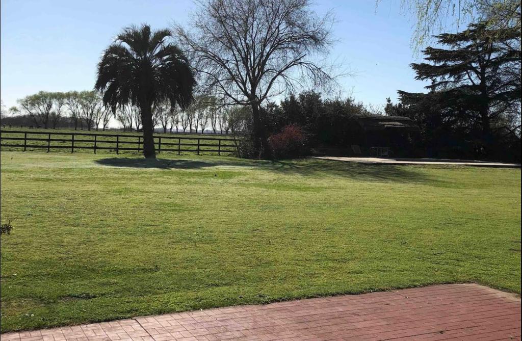 Campo en Lobos