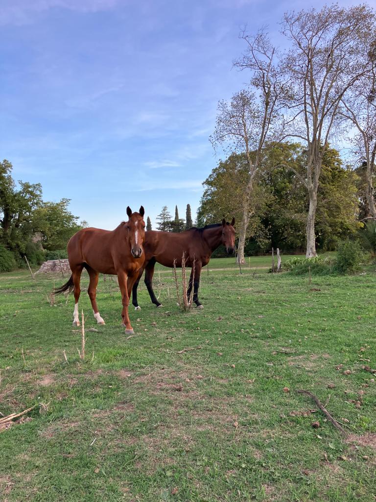 Villa Maria, Gualeguay, Entre Ríos