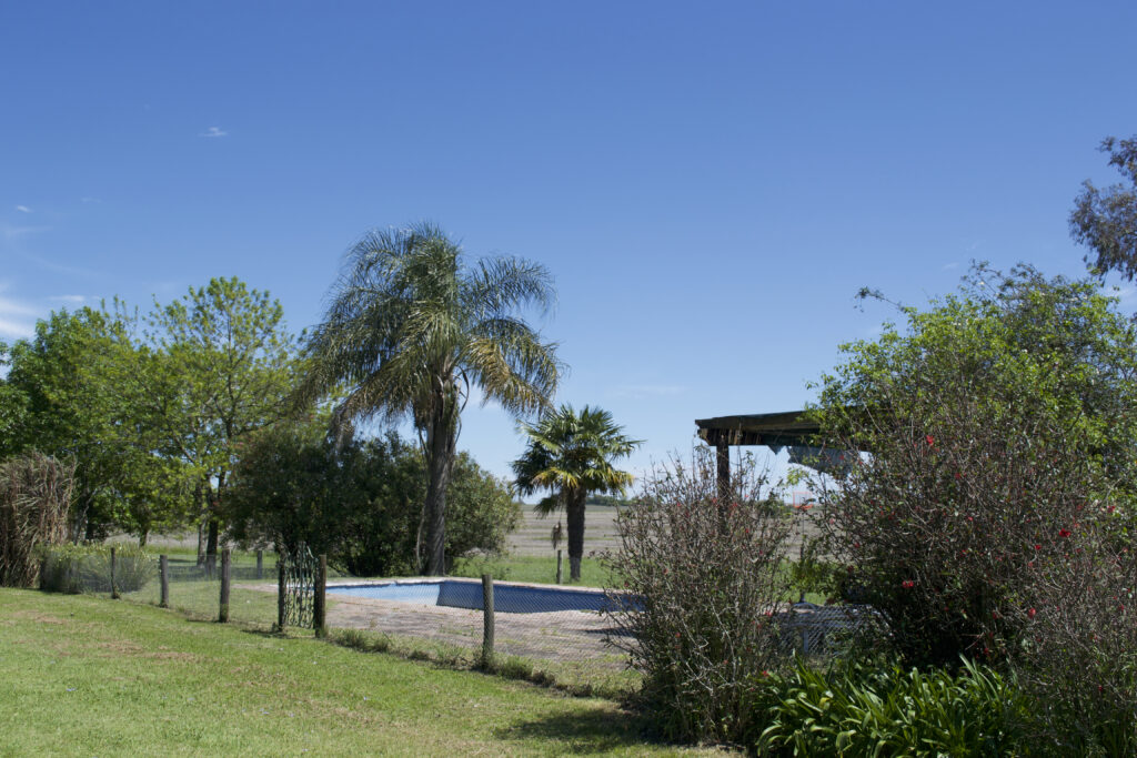 Campo Ombú