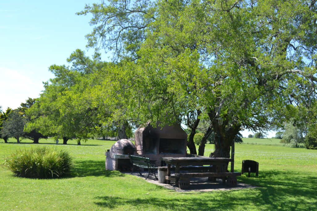 Campo Ombú