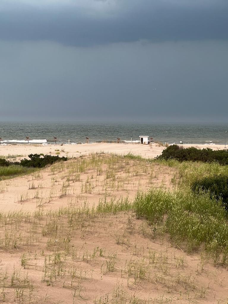 NORTHBEACH FRENTE AL MAR