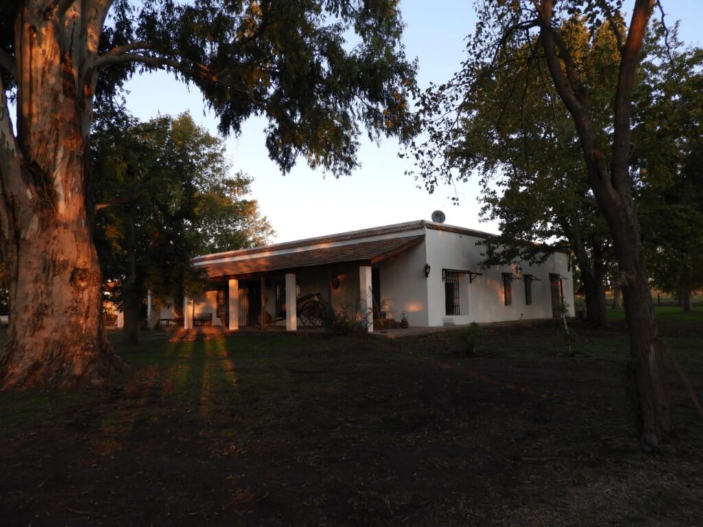 El Campito