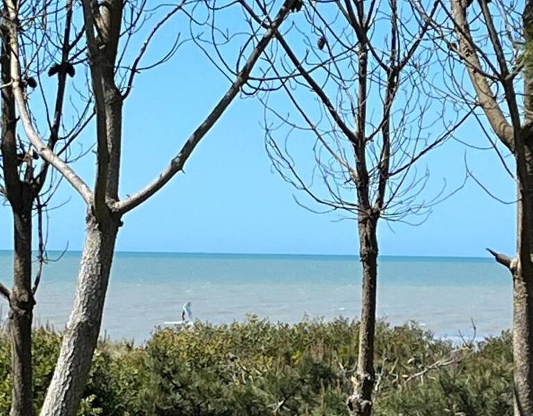 Maritimo 2 Lote 81