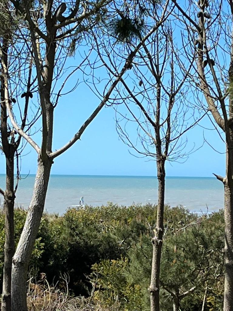 Maritimo 2 Lote 81